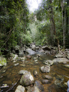 20190702 073203 byron bay coopers shoot