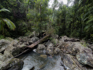 20190702 073238 byron bay coopers shoot