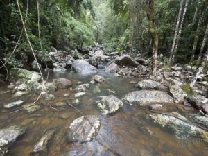 20190702 073537 byron bay coopers shoot