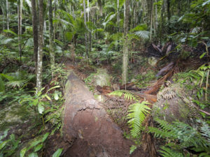 20190702 073845 byron bay coopers shoot