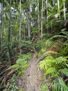 20190702 074000 byron bay coopers shoot