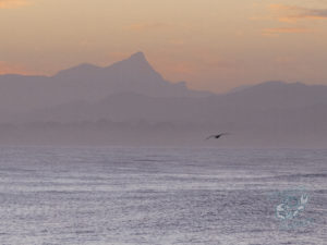 20190702 170839 byron bay coopers shoot