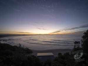 20190702 172119 byron bay coopers shoot