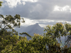 20190703 145622 byron bay coopers shoot