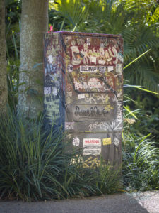 20190704 144152 byron bay coopers shoot