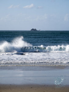 20190704 150159 byron bay coopers shoot