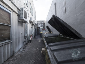 20190704 151038 byron bay coopers shoot