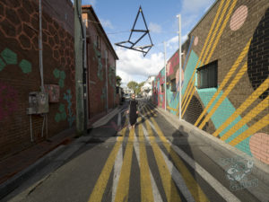 20190704 153907 byron bay coopers shoot