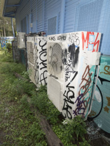 20190706 135144 byron bay coopers shoot