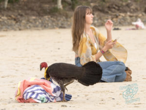 20190706 142824 byron bay coopers shoot