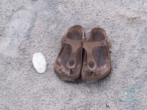 20190706 171005 byron bay coopers shoot