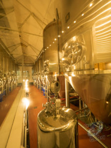 20190706 181744 byron bay coopers shoot