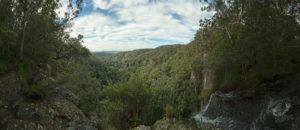 20190707 dong00 byron bay coopers shoot