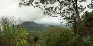 20190707 mies00 byron bay coopers shoot