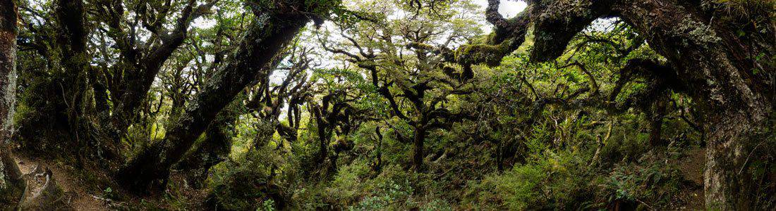 Alex McDowell's Photo Gallery