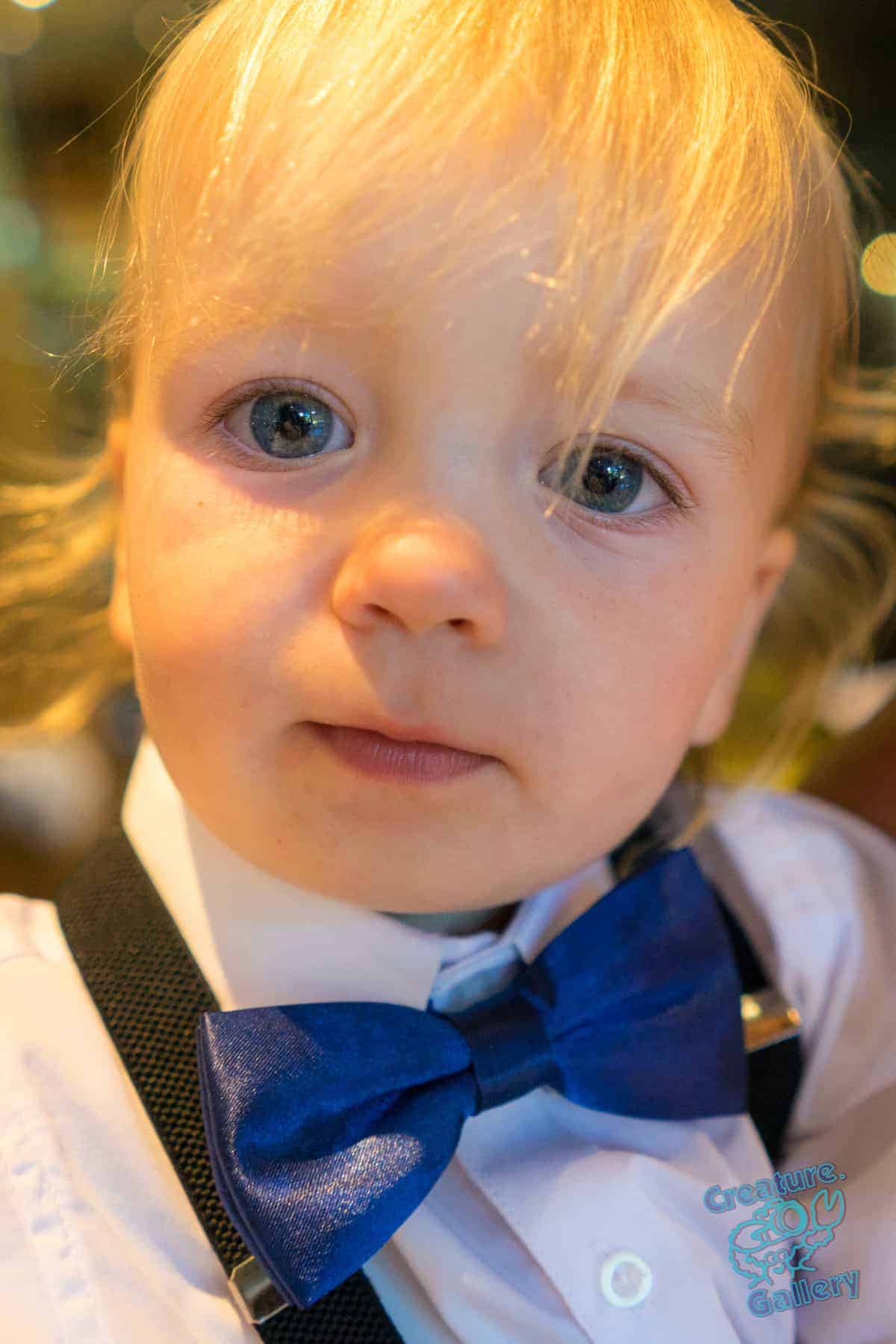 formal_20180120_163542_SONY_ILCE-7_28.0_mm_1160_2.5_800_Off,_Did_not_fireTODDLER