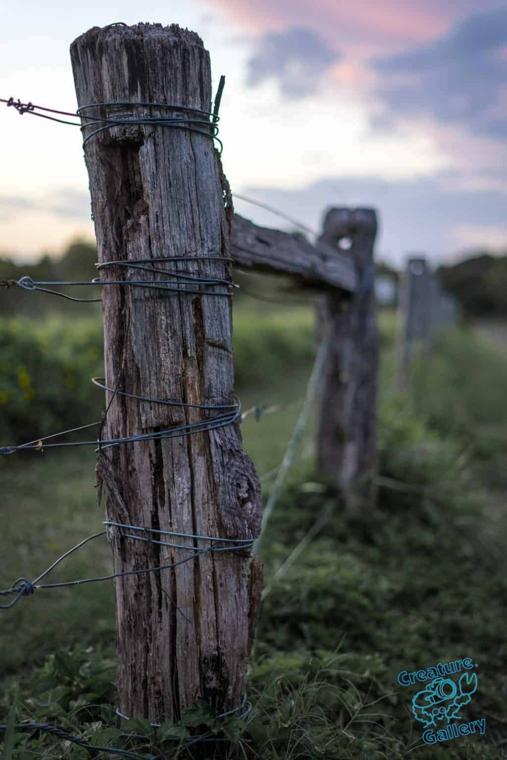 Fence post next to farmer's field