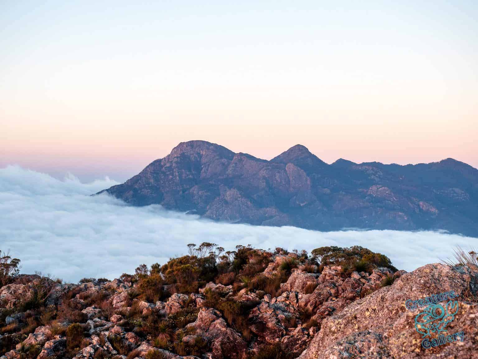 Clouds at the base of Mount Barney