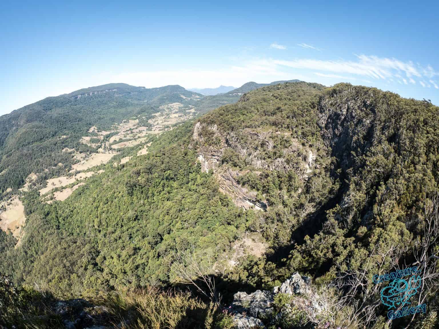 Lookout over Springbrook, inland from the Gold Coast