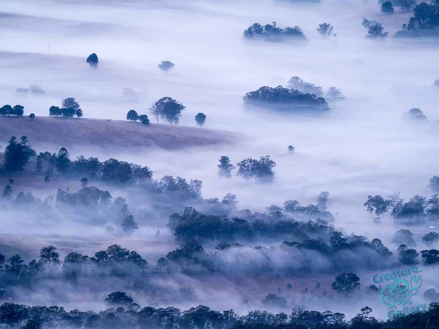 Clouds over trees
