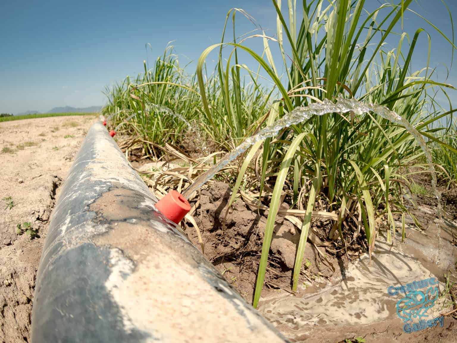 Irrigation system on a farm