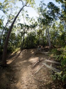The Tinkerbell Trail