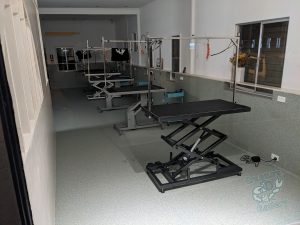 Grooming tables in a vet showroom
