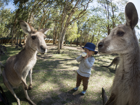 australia_zoo_philip_and_erikas_wedding