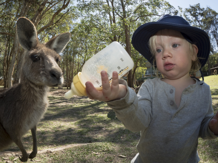 australia_zoo_philip_and_erikas_wedding