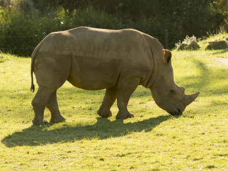 australia_zoo_philip_and_erikas_wedding