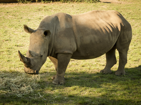 australia_zoo_philip_and_erikas_wedding