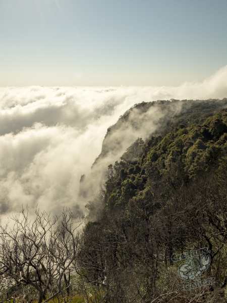This is the view from Bare Rock at 6AM