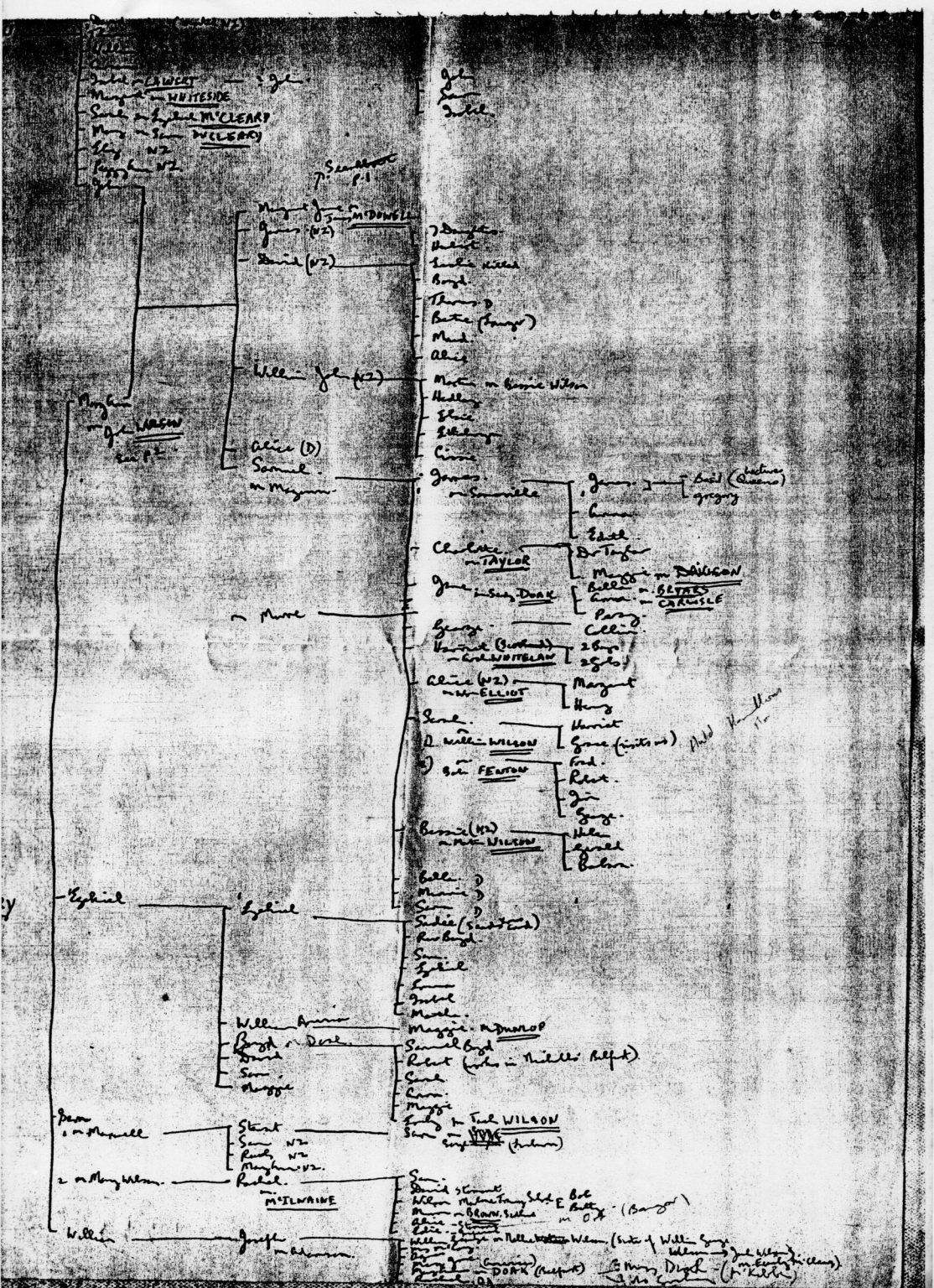 000002 paddys photos - 19181001 110000 family tree