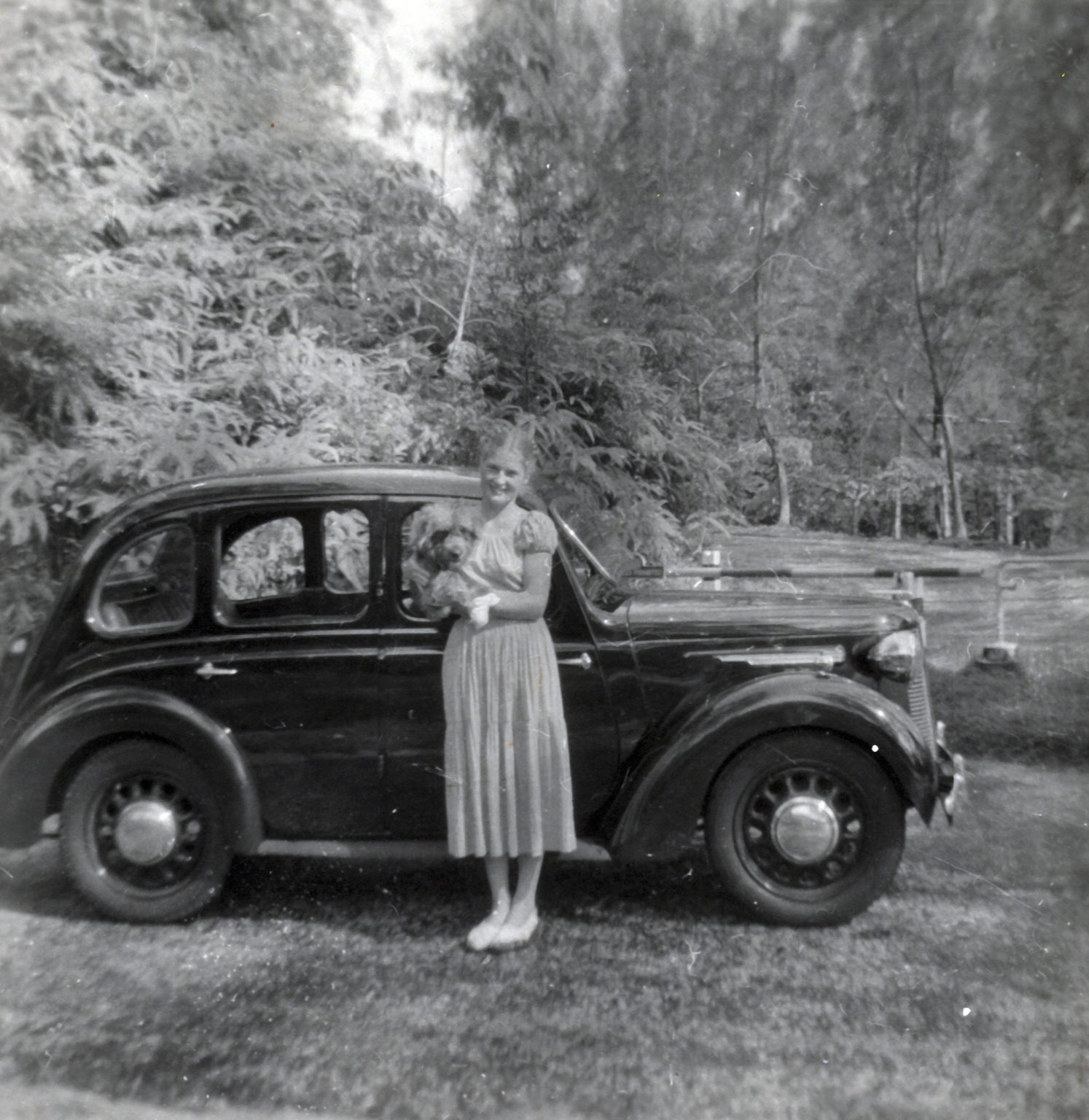 19500101 jill and paddys wedding day3