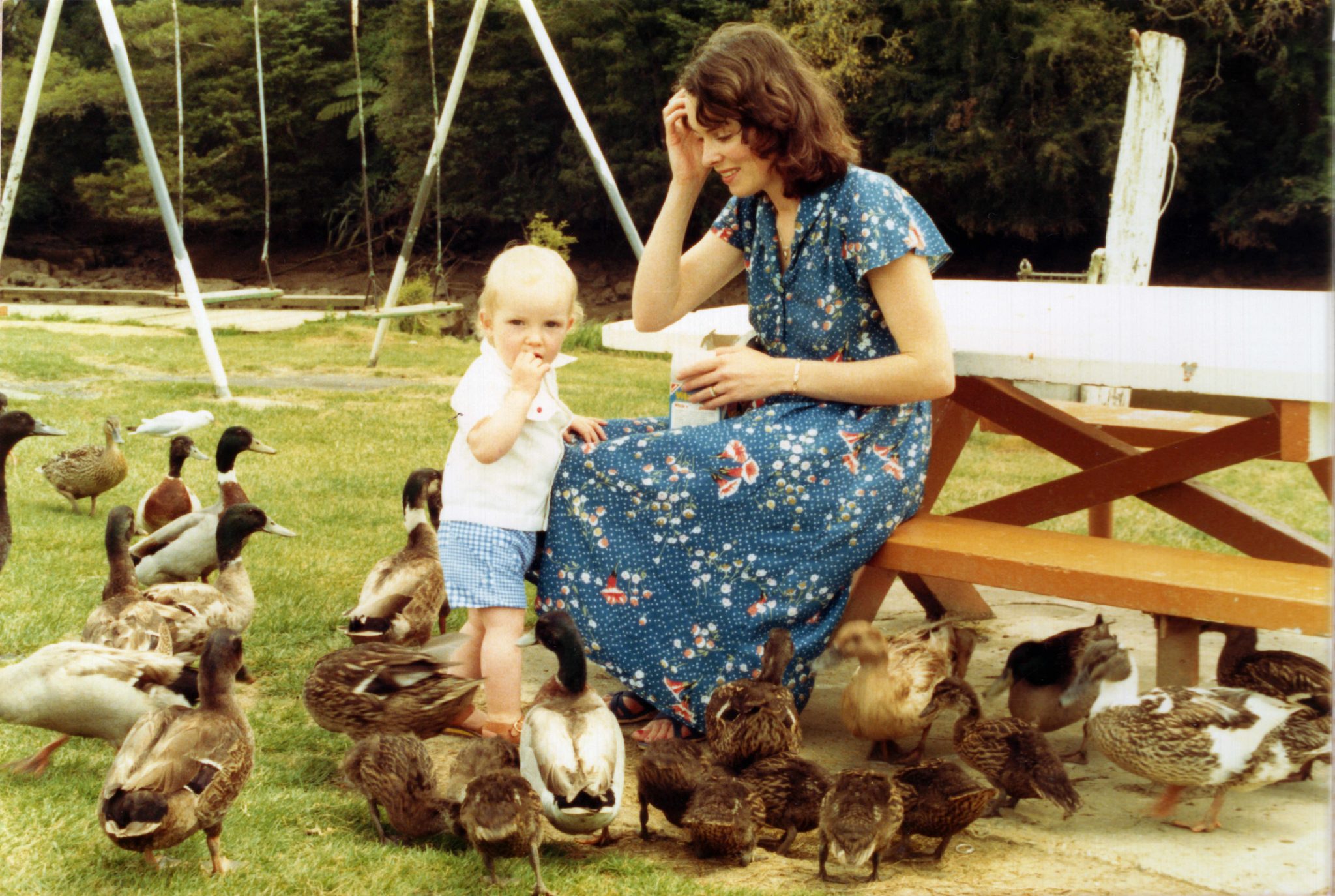 19810907 000001 me jos ducks walkworth