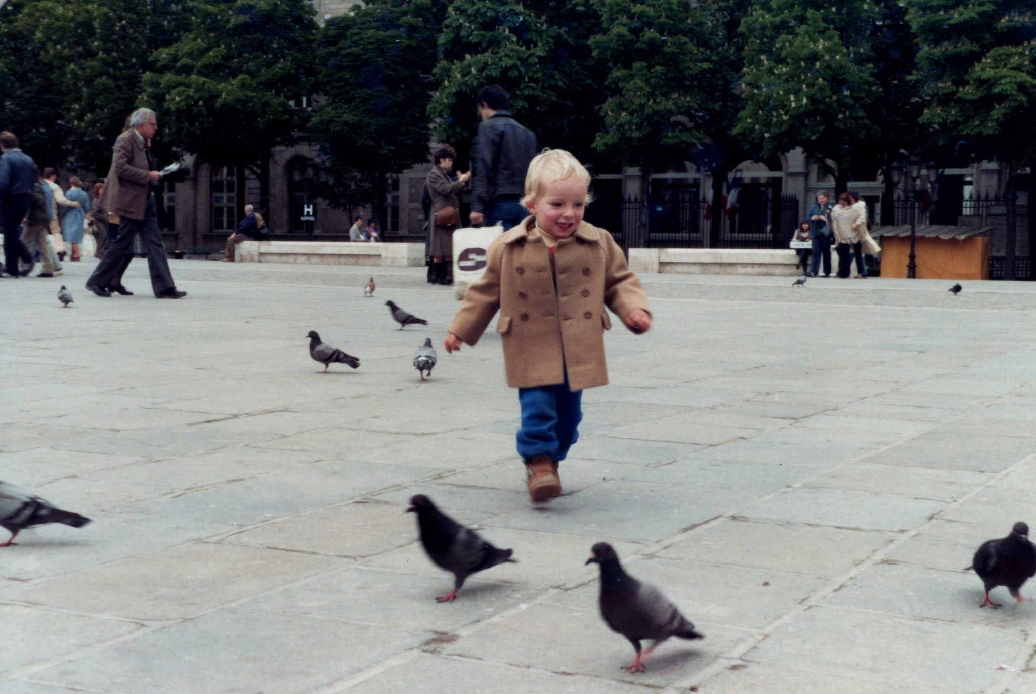 19820809 000001 pidgeons