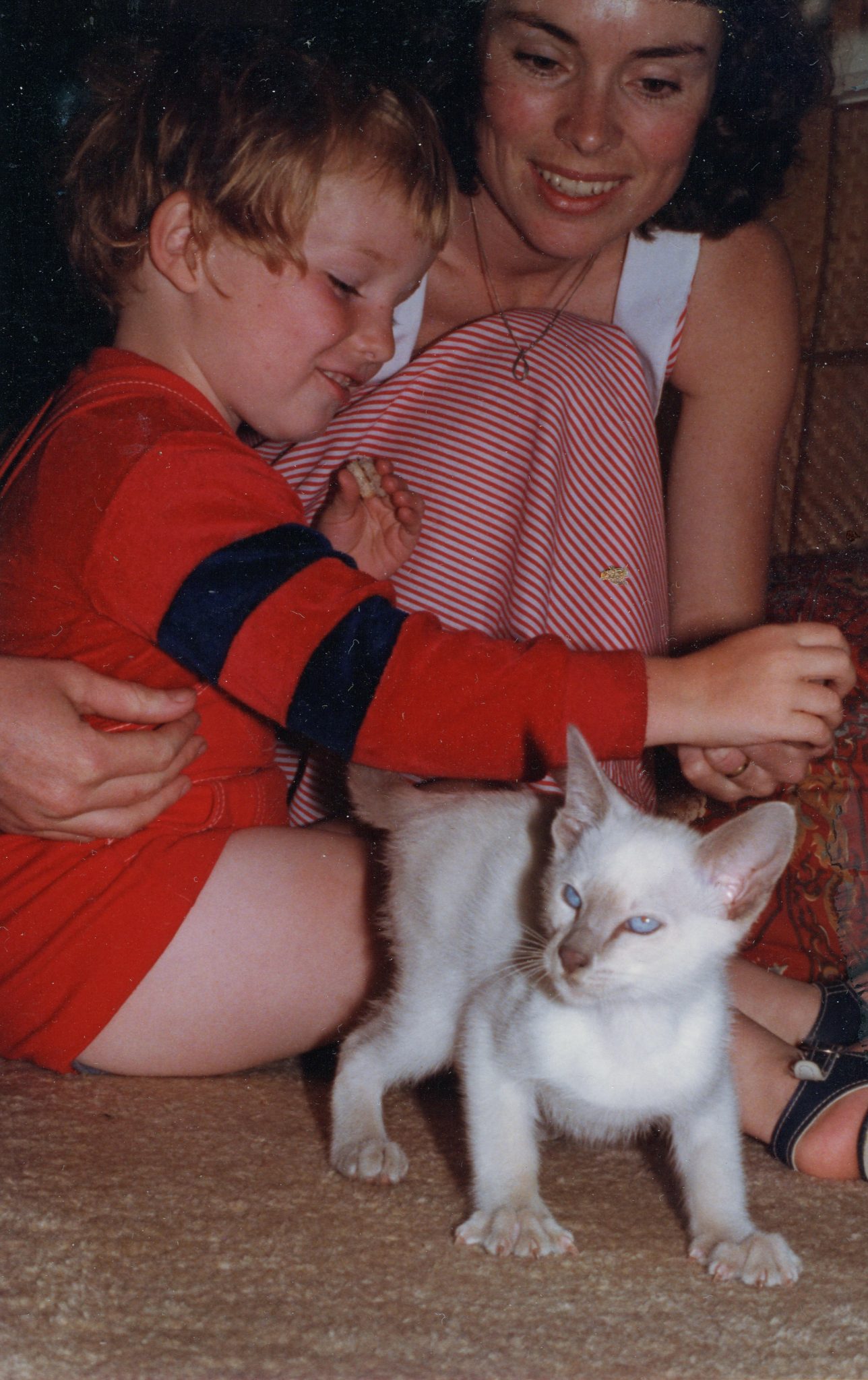 19830614 000001 george the cat