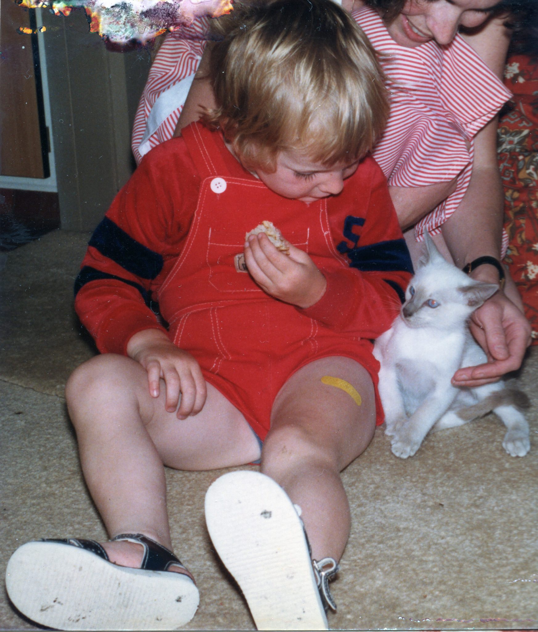 19830615 000001 george the cat