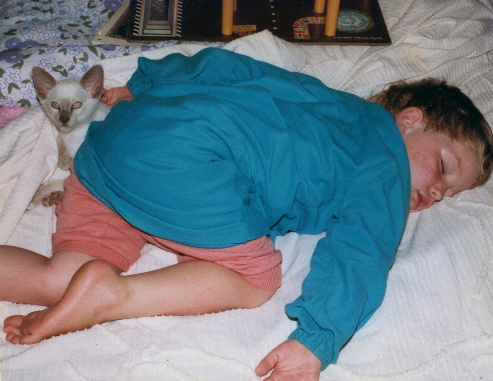 19830616 000001 george the cat