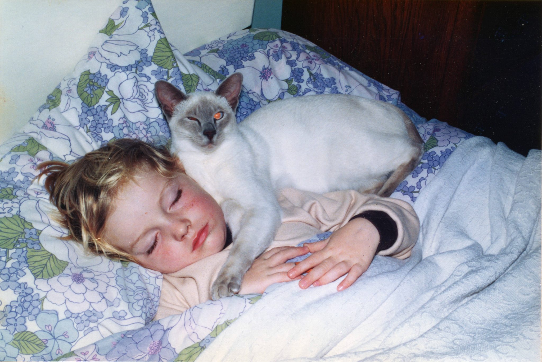 19840616 000001 george the cat