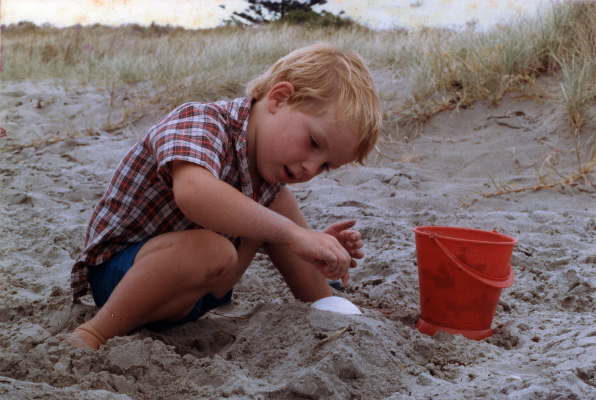 19850303 000001 papamoa beach2