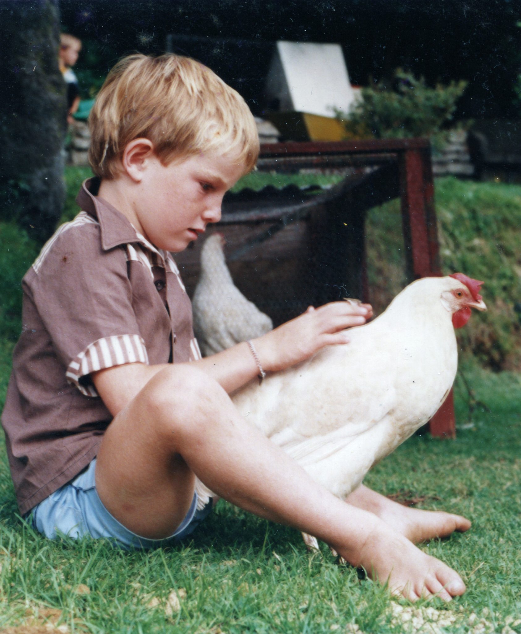 19860420 000001 chook