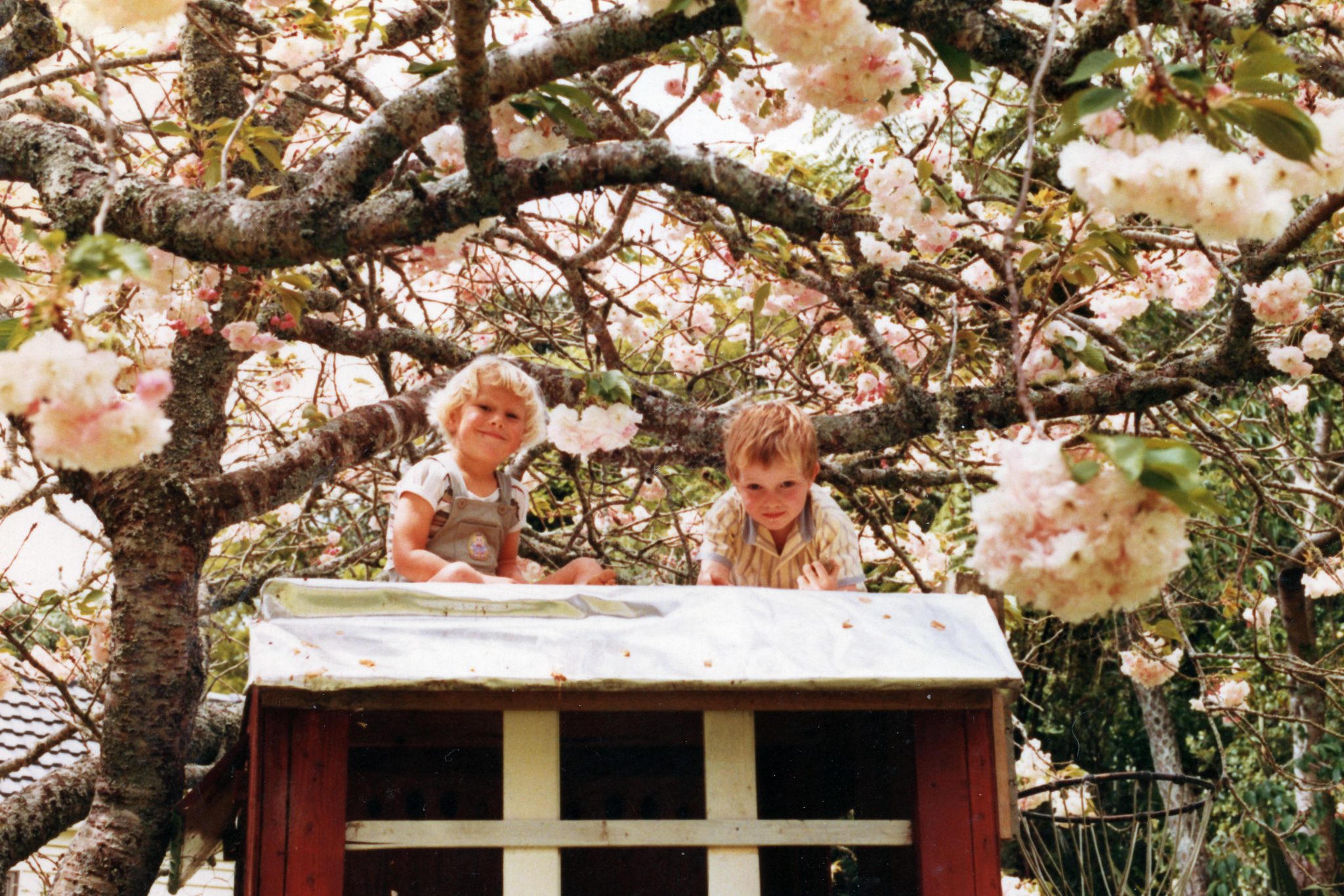 19861007 000001 jonathon boyd