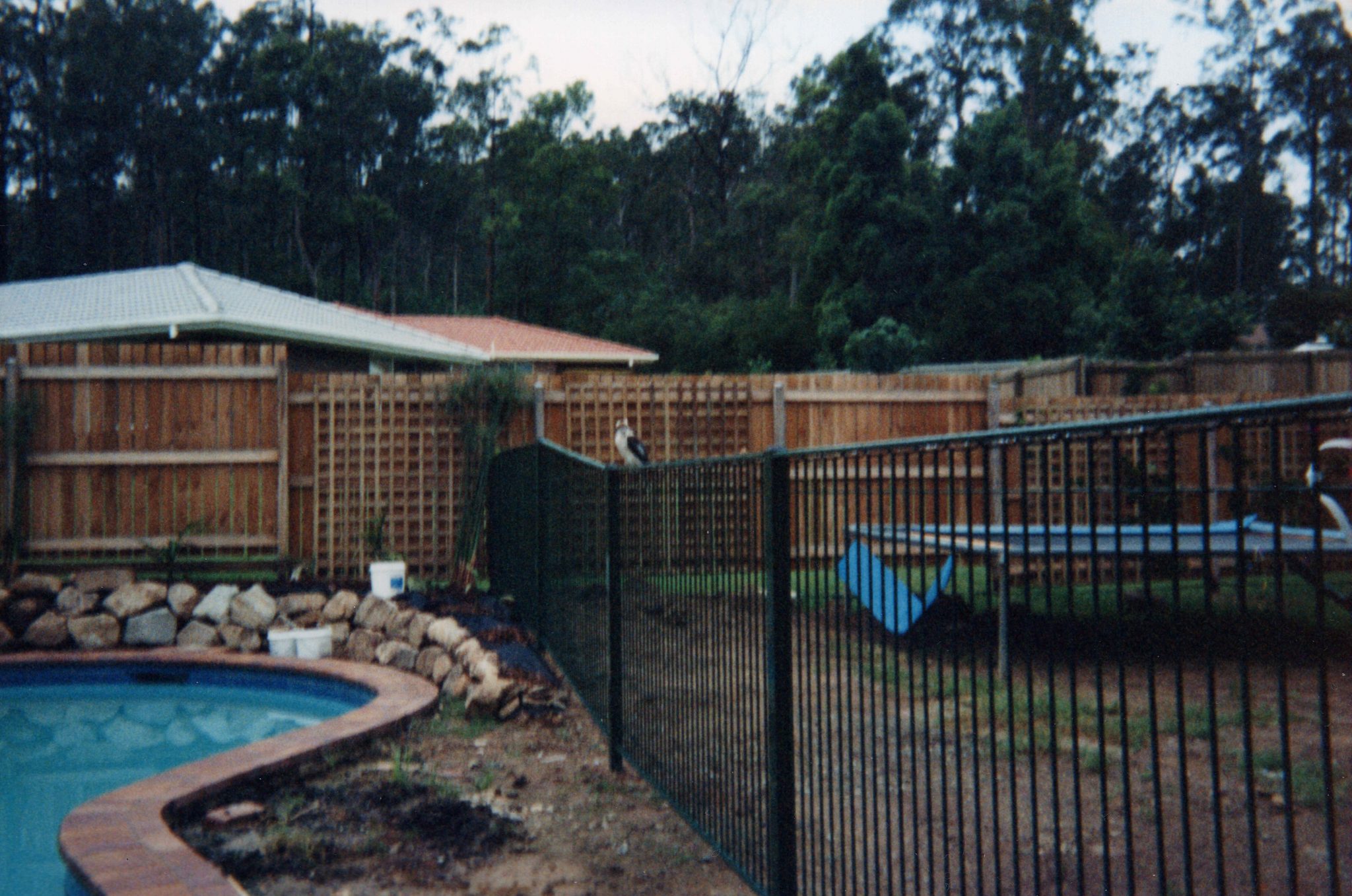 19910205 000001 tangmere st backyard