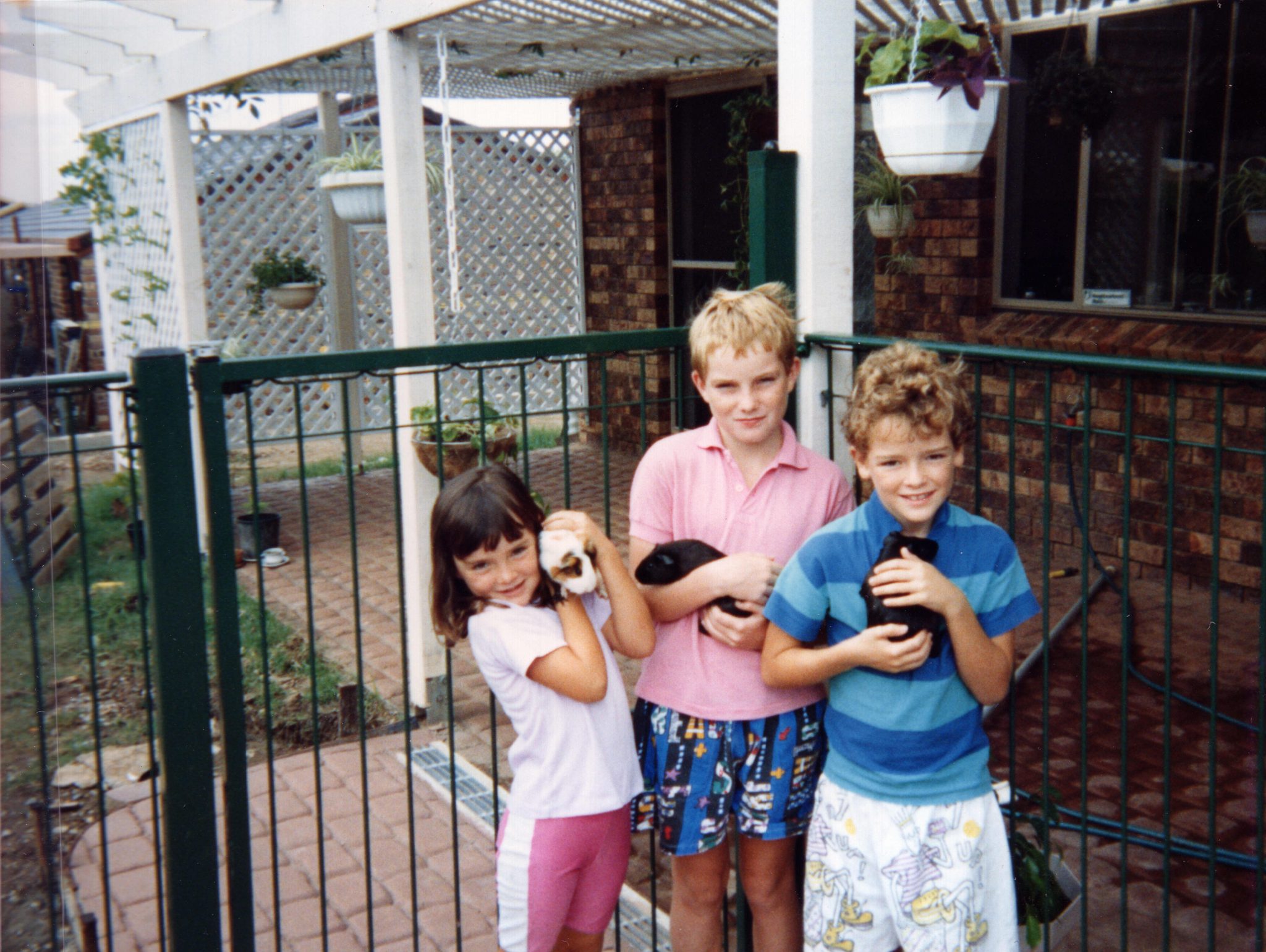 19910205 000001 tangmere st guinea pigs