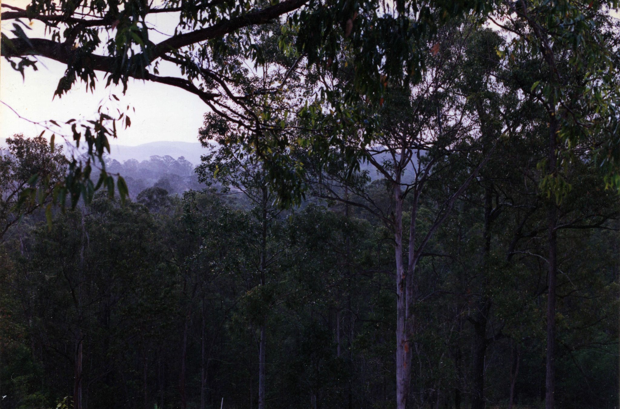 19920605 000001 bedroom view