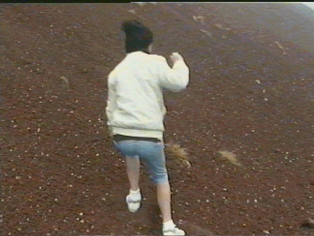 19950917 scoria tarawera