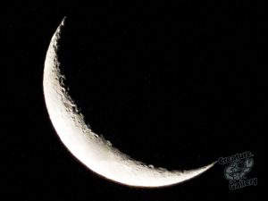 crescent moon