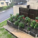 20160303 110000 front garden img 1711 backyard progress