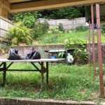 20170123 12301 backyard progress in the beginning.jpg